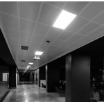 LEDs