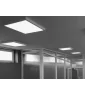 LEDs